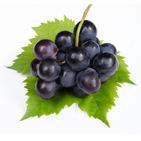 виноград и здоровье