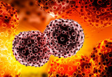 Смешанные и несеминомные герминогенные опухоли