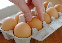 Брюшной тиф – болезнь, убивающая кишечник