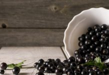 Полезные свойства черной смородины