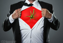 Сладкая парочка против рака простаты! Соя + помидор!