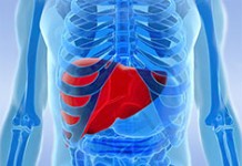 Чья печень в опасности: алкотипы. Часть 4