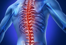 Факторы риска остеопороза