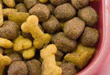 Собачий корм поможет раковым больным