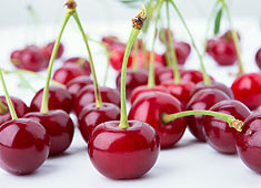 Обычная вишня спасает от боли в ногах