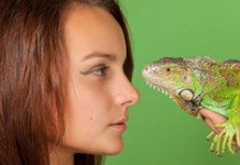 Открытие в науке: обнаружен белок, восстанавливающий нервы