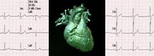 Посмотрите на ваше сердце!