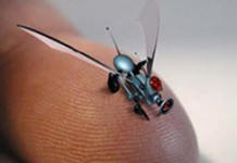 Пересадка органов становится доступнее благодаря нанотехнологиям