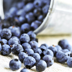 Черника: зрительный обман