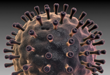 3 болезни одного вируса