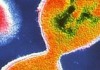 24 апреля – Всемирный день борьбы с менингитом