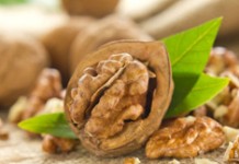 Орехи продлевают жизнь! Какие орехи есть?