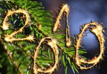 Не выбрасывайте елку – она еще пригодится