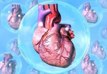 Наглядное руководство по заболеваниям сердца