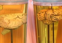 Вкусные лекарства: жирные кислоты