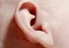 Наружное ухо