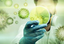 Избегаете пищевых добавок? Оказывается, они защищают от птичьего гриппа