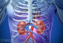 Стоит ли есть апельсины?