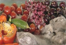 Плесень в нашем доме