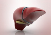 Сохраняем здоровье печени