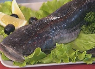 Что такое сом и с чем его едят?