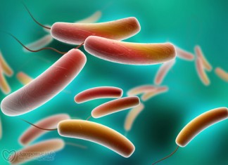 Что лечат бактериофаги