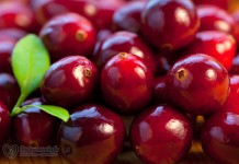4 суперпродукта в новом году