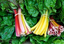 Что надо есть каждый день. Великолепная пятерка и шпинат