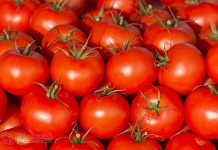 Суперовощи и фрукты для мозгов