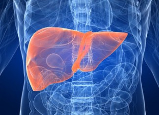 Заботимся о печени