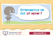 Отличается ли пот от мочи?