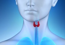 Еда, которая угробит вашу щитовидку