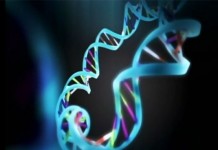 Странные вопросы об иммунитете. Иммунодефицит