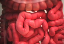 Вдали от цивилизации. Проблемы с кишечником