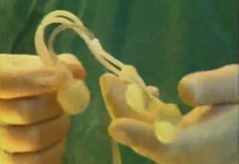 Программа «Здоровье» от 9 апреля 1999 г.