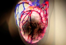 Мужское здоровье. Ответы на вопросы телезрителей