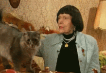 Как пережить стресс?