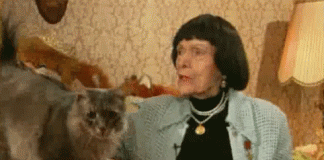 Как пережить стресс?