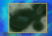 Медицинские новости