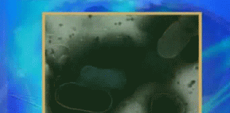 Медицинские новости