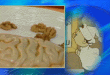 Функции мозга