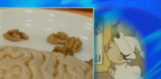 Функции мозга