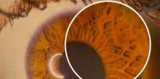 Программа "Здоровье" от 12 марта 1999 г.