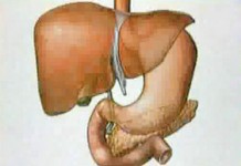 Программа "Здоровье" от 30 января 2000 г.