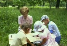 Первая помощь при укусе собаки