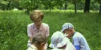 Первая помощь при укусе собаки