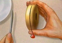 Как вылечить царапины