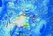 Нервные клетки