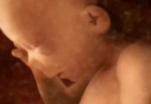 Внутриутробное развитие ребенка