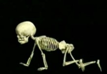 Косточки малыша